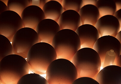 888.BY集团电子游戏(中国)有限公司官网