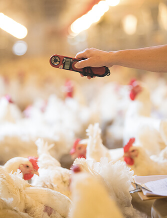 888.BY集团电子游戏(中国)有限公司官网