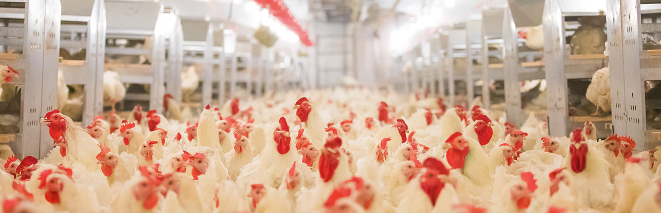 888.BY集团电子游戏(中国)有限公司官网